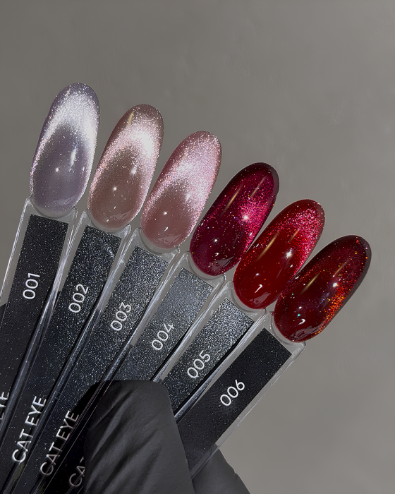 DARK GEL POLISH CAT EYE 01, 10 МL